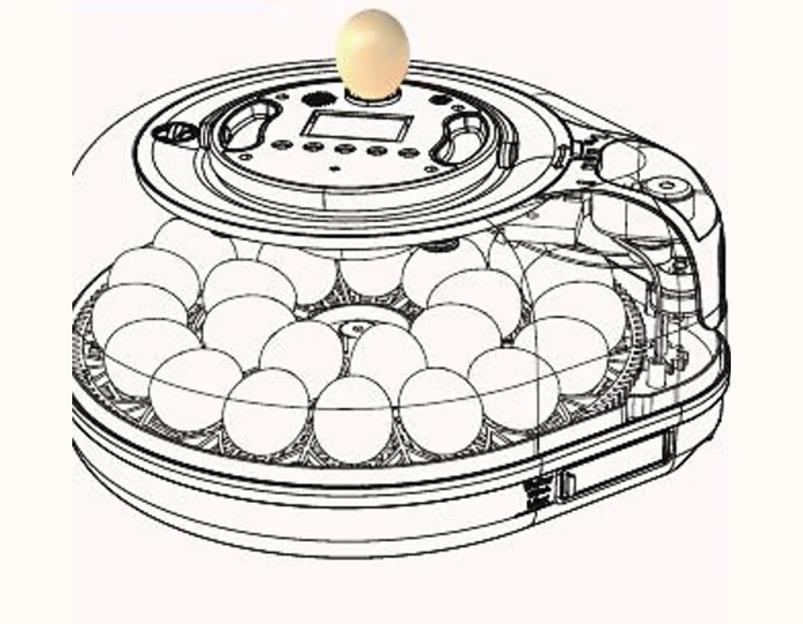 Egg placed over the built-in upward-facing candling light.